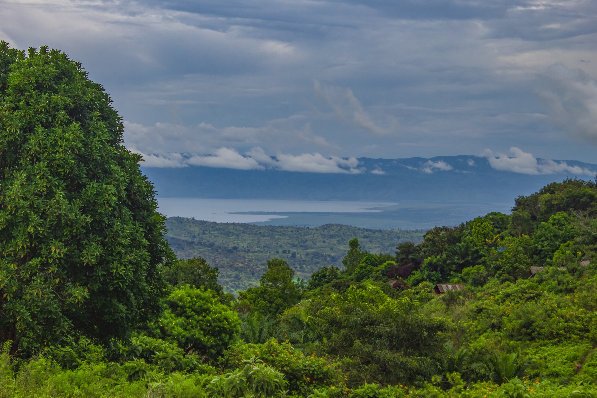Paysage de nature avec vue sur le lac Kivu