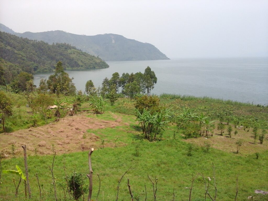 Photo d'un champ et du lac Kivu.